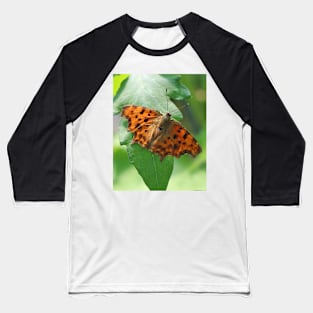 Comma butterfly Baseball T-Shirt